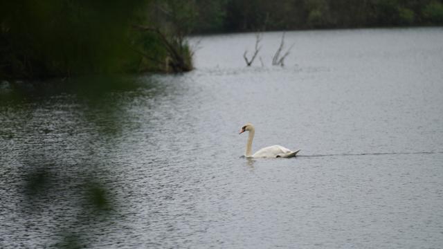 Foto: Amt Peitz/Picnjo, Lizenz: Amt Peitz/Picnjo