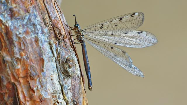 Foto: &copy; Jens Hamann/WDR