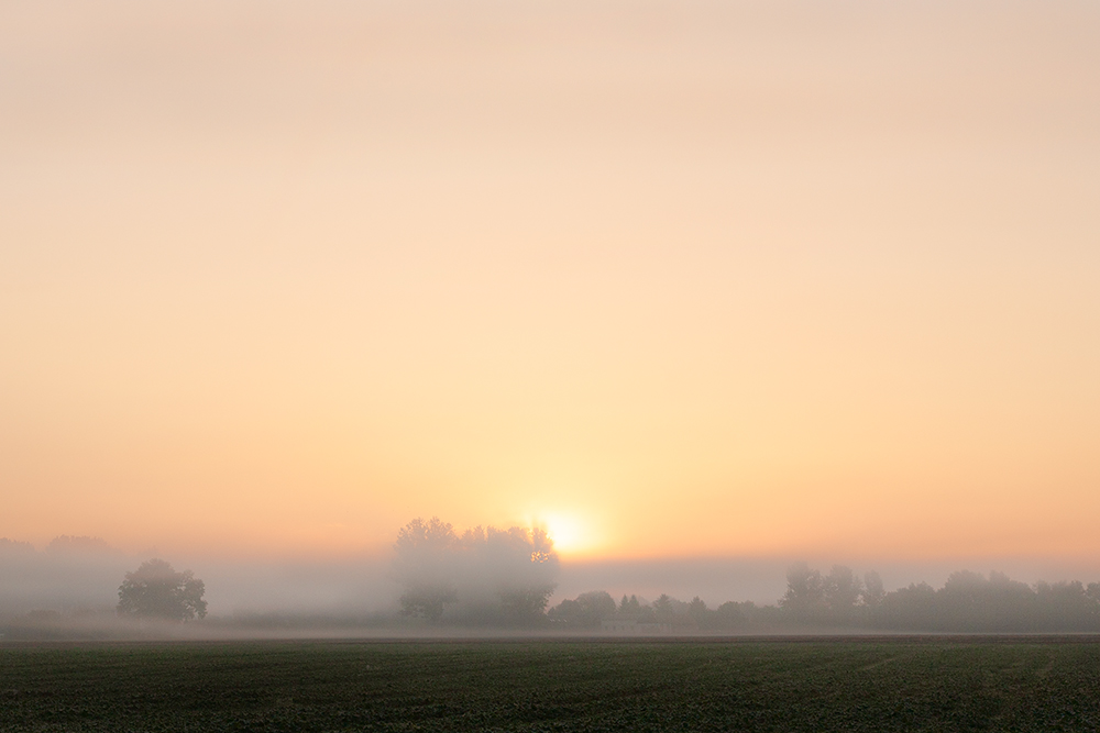Fotokurs Geheimtipp Warthebruch