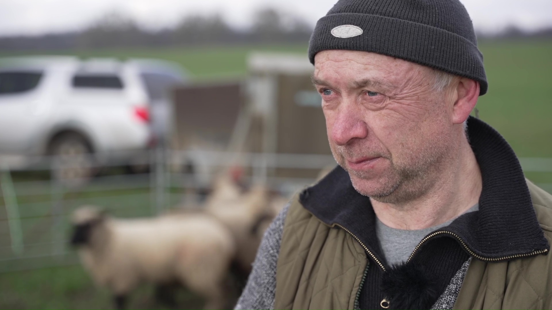 Wölfe, Wut und Weidezäune Foto: © rbb / Riccardo Wittig