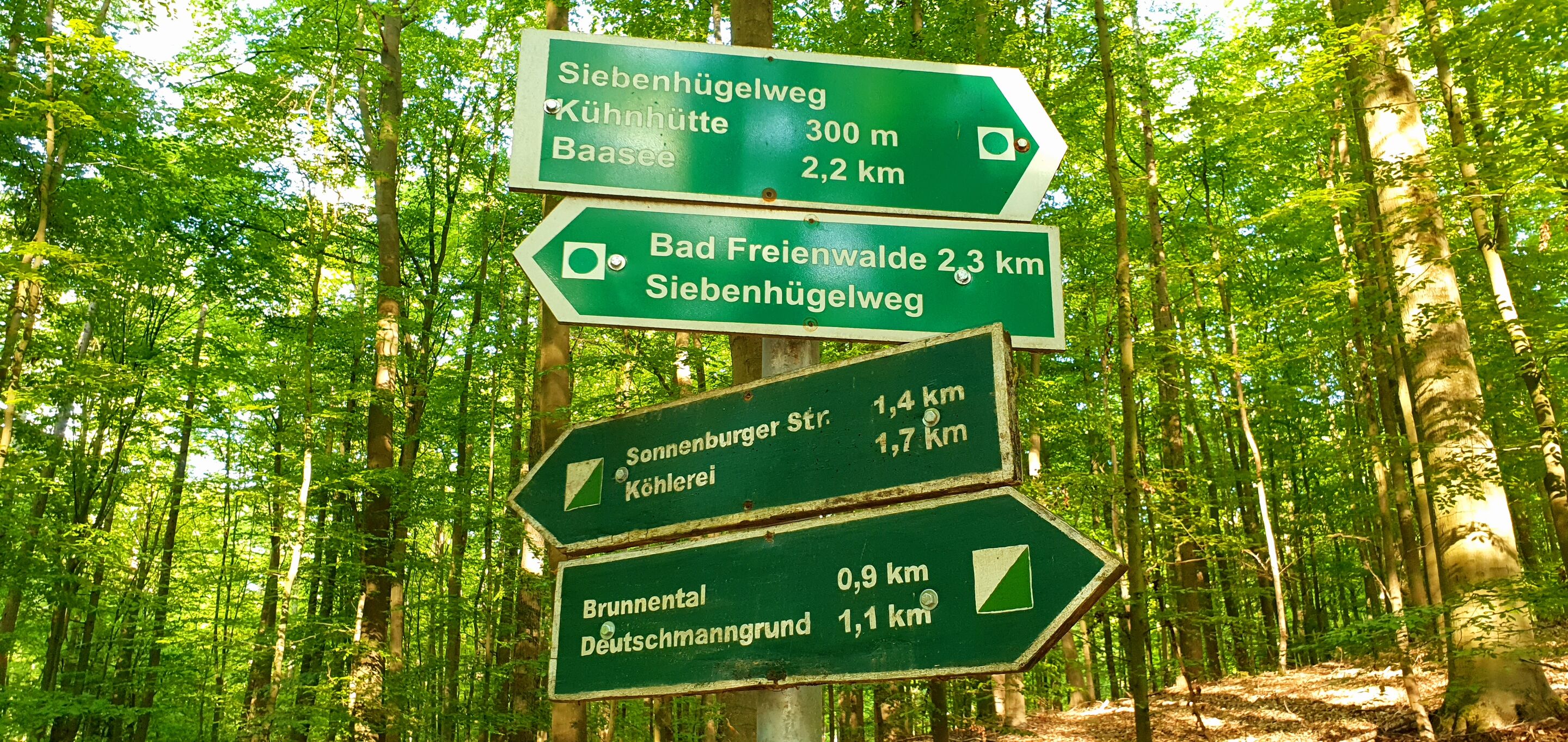 Schild Baasee