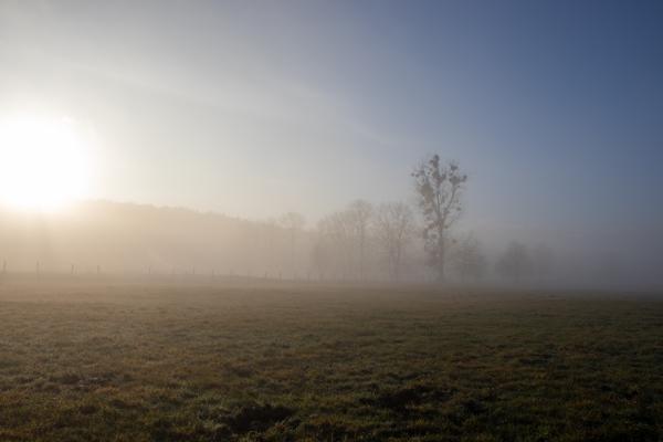 Foto: Naturwacht, C. Krüger, Lizenz: Naturwacht, C. Krüger