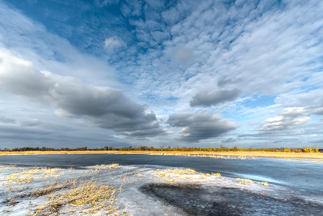 Landschaft und Florales im südlichen Oderbruch