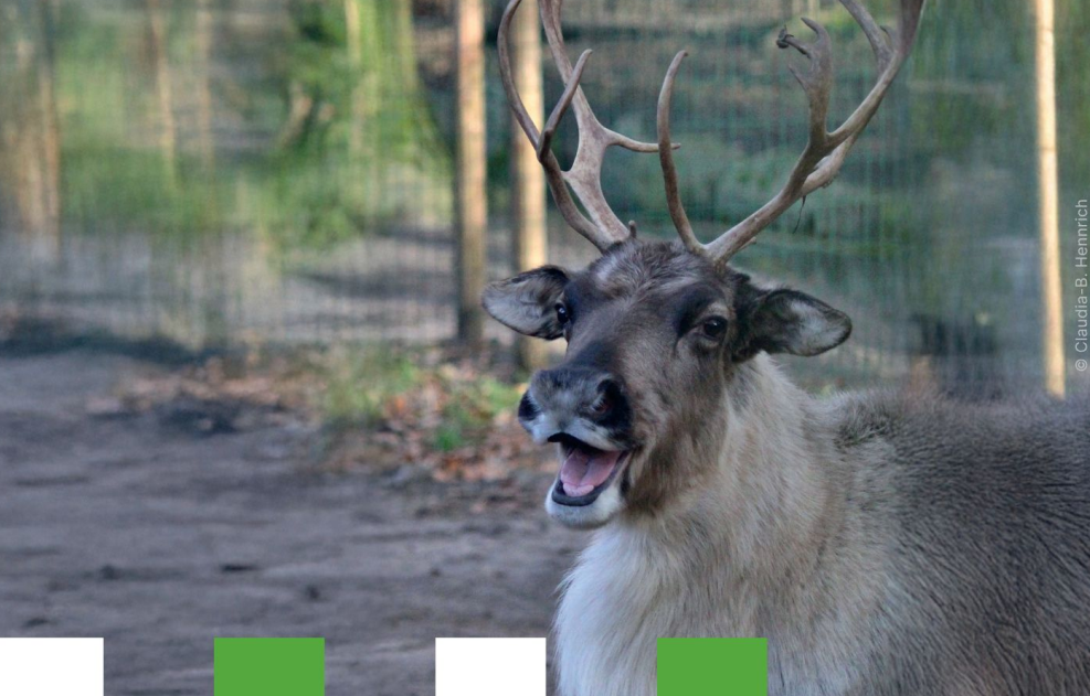 Foto: Zoo Eberswalde