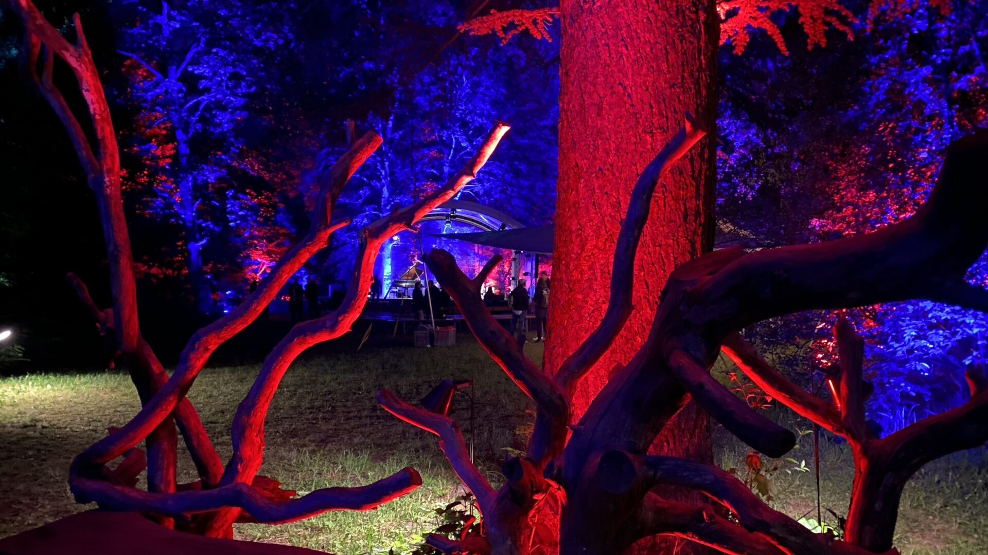 Purpur - Konzerte und Open-Air-Kino im beleuchteten Forstbotanischen Garten Eberswalde Purpur - Konzerte und Open-Air-Kino im beleuchteten Forstbotanischen Garten Eberswalde, Foto: Matthias Schäfer