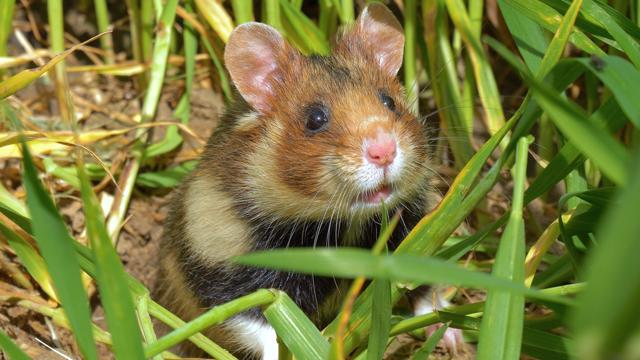 Foto: © Jens Hamann/WDR