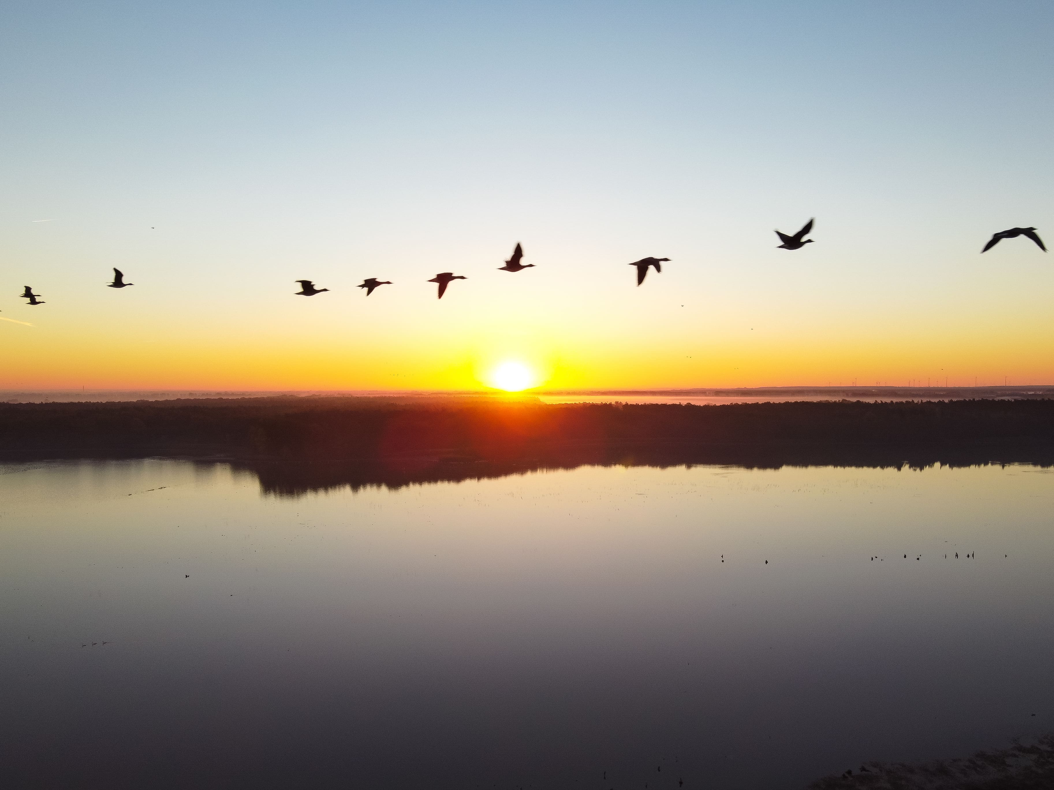 Birdwatching Altfriedland