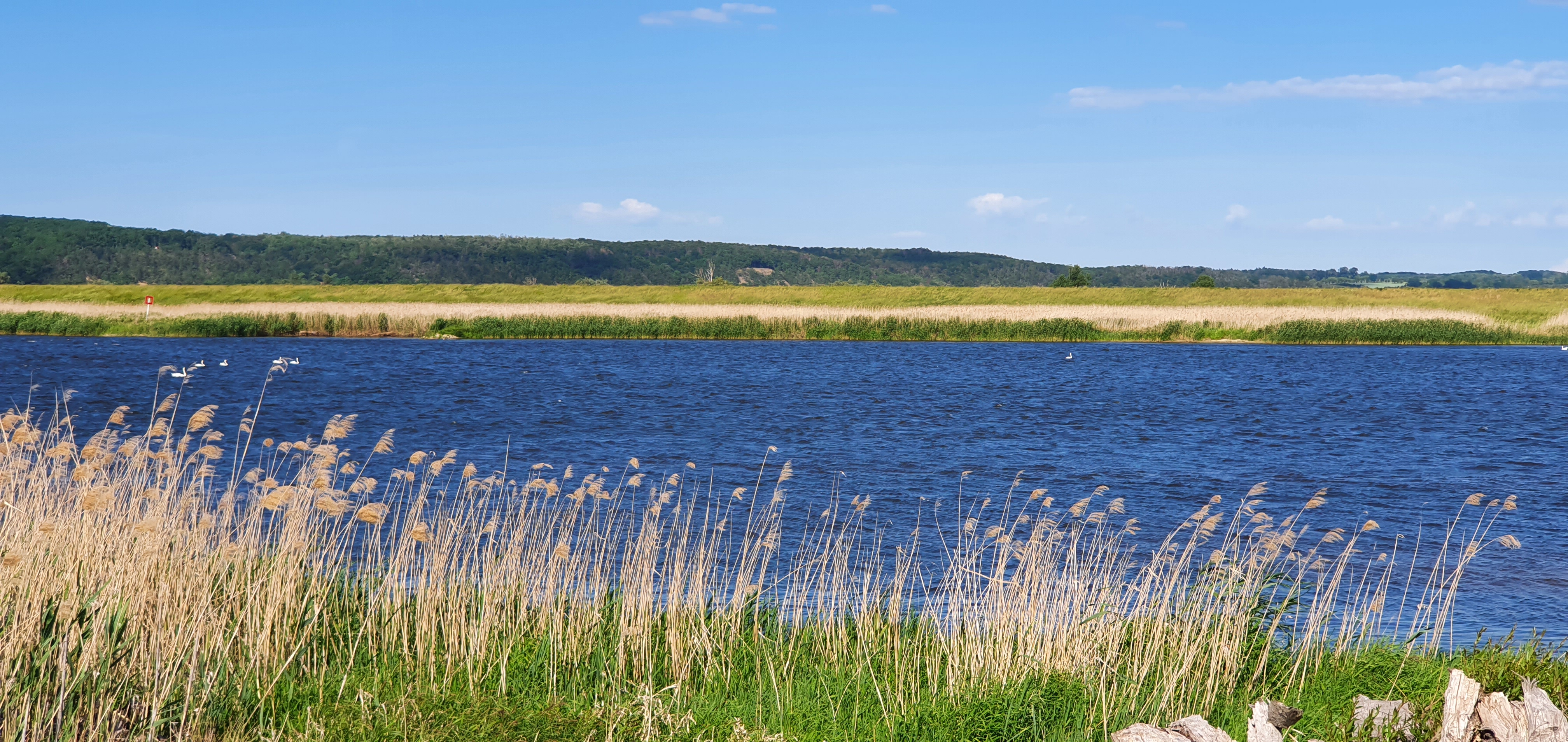 Oder bei Lunow