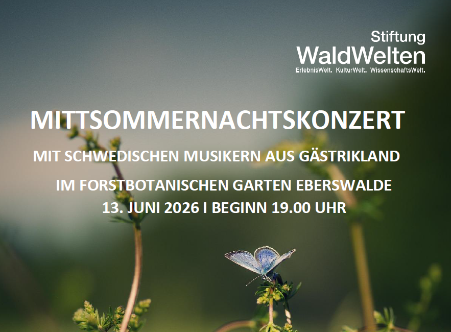 Stiftung WaldWelten Foto: Stiftung WaldWelten