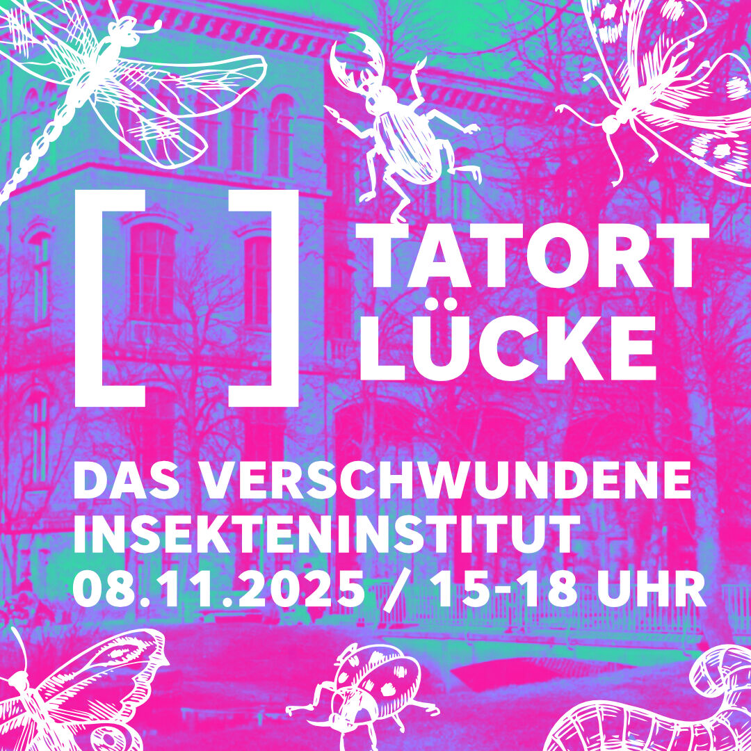 Grafik: Franziska Behring, Foto: Franziska Behring