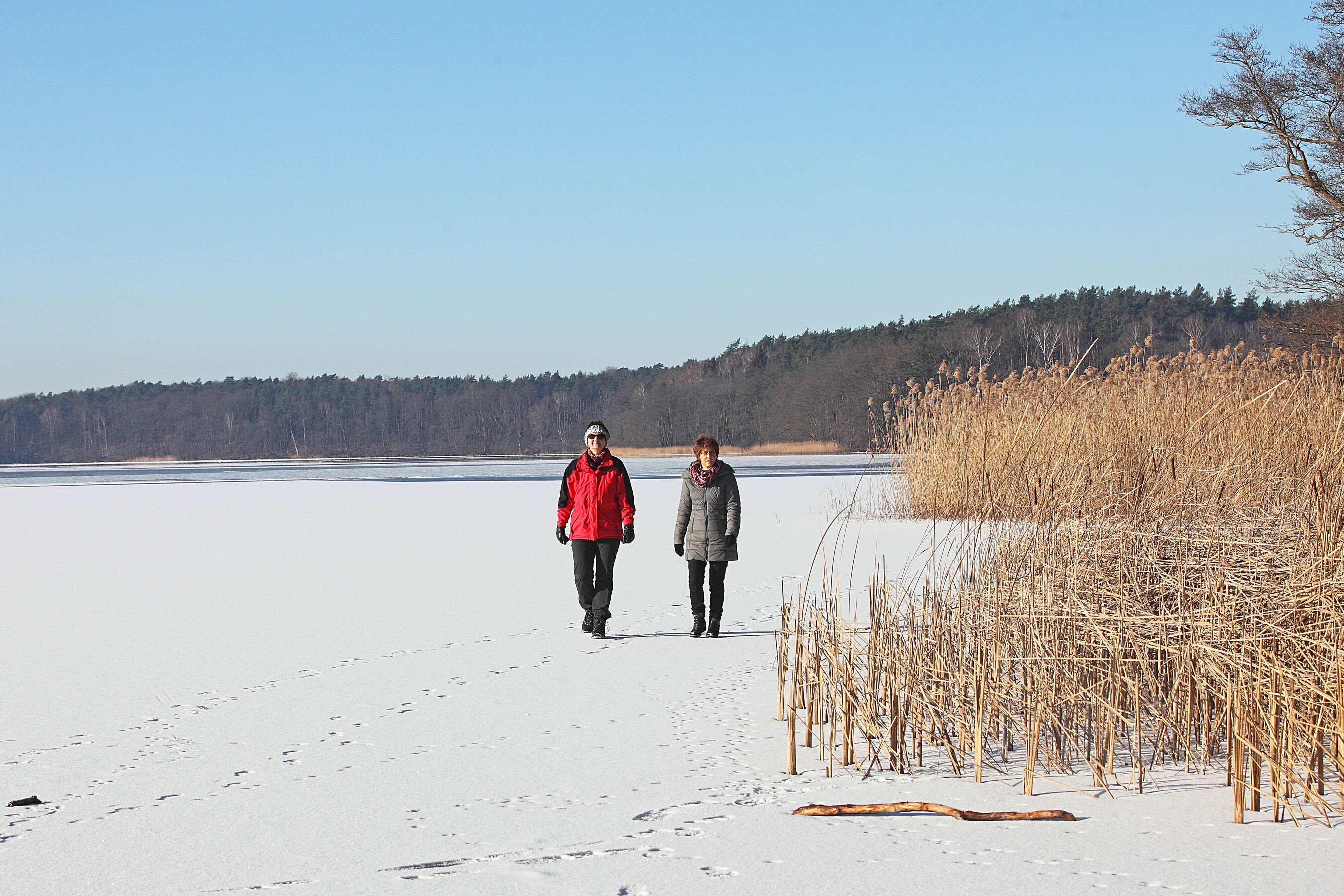 Winter am Wolletzsee