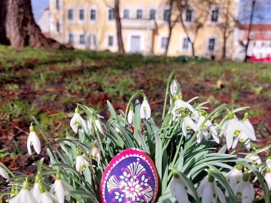 Foto: Dr. Corinna Junker, Lizenz: Stadt Lübben (Spreewald)