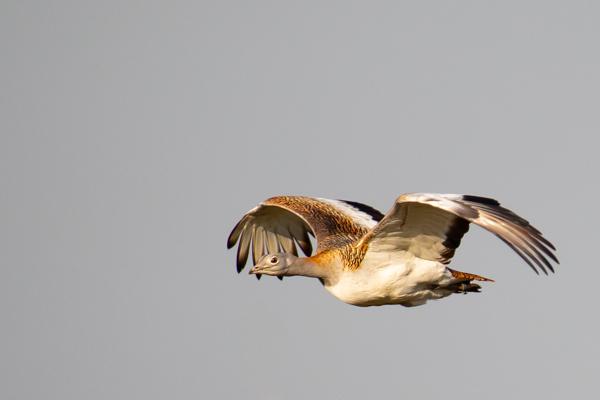 Foto: Johannes Müller