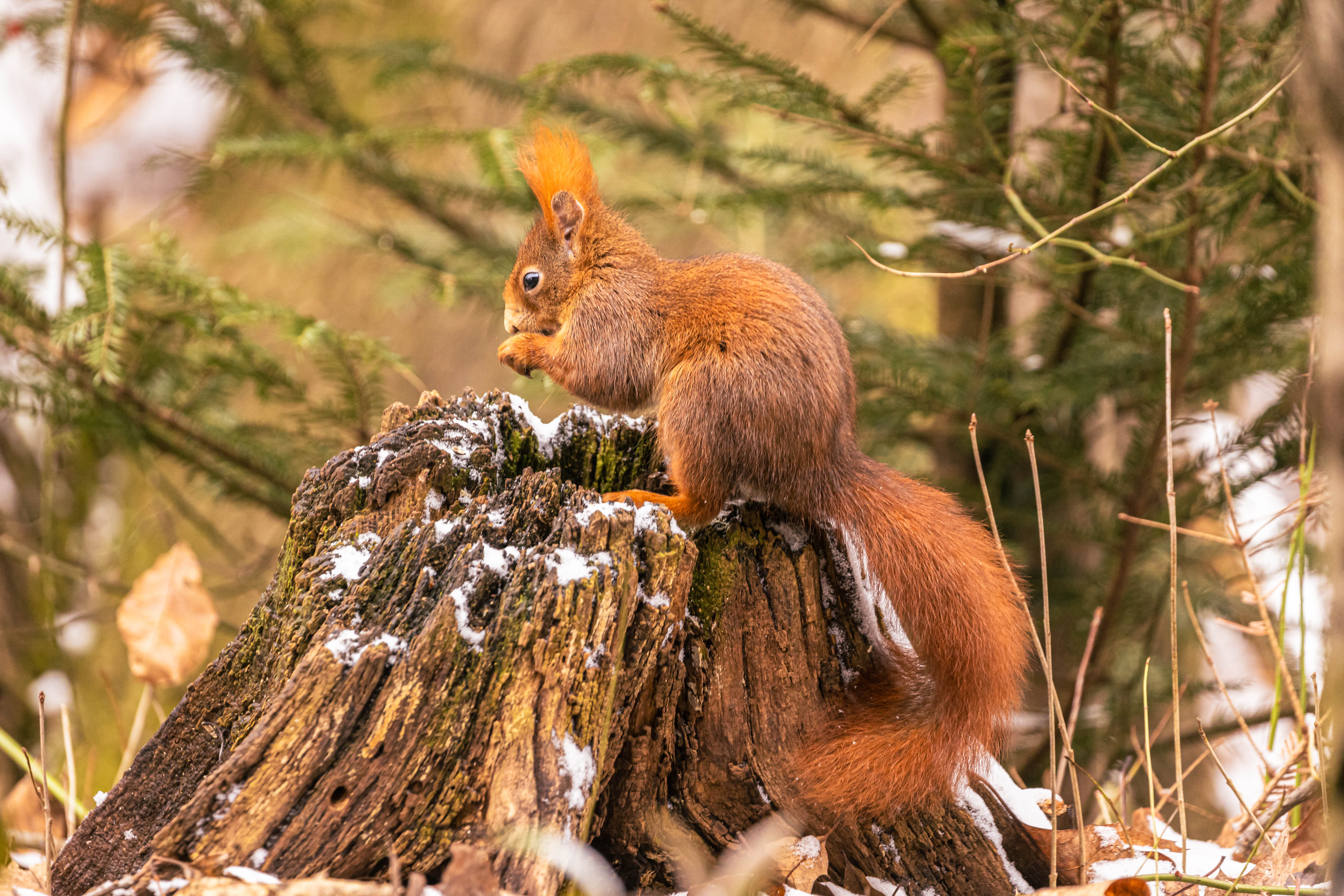 Foto: © Andreas Hartl