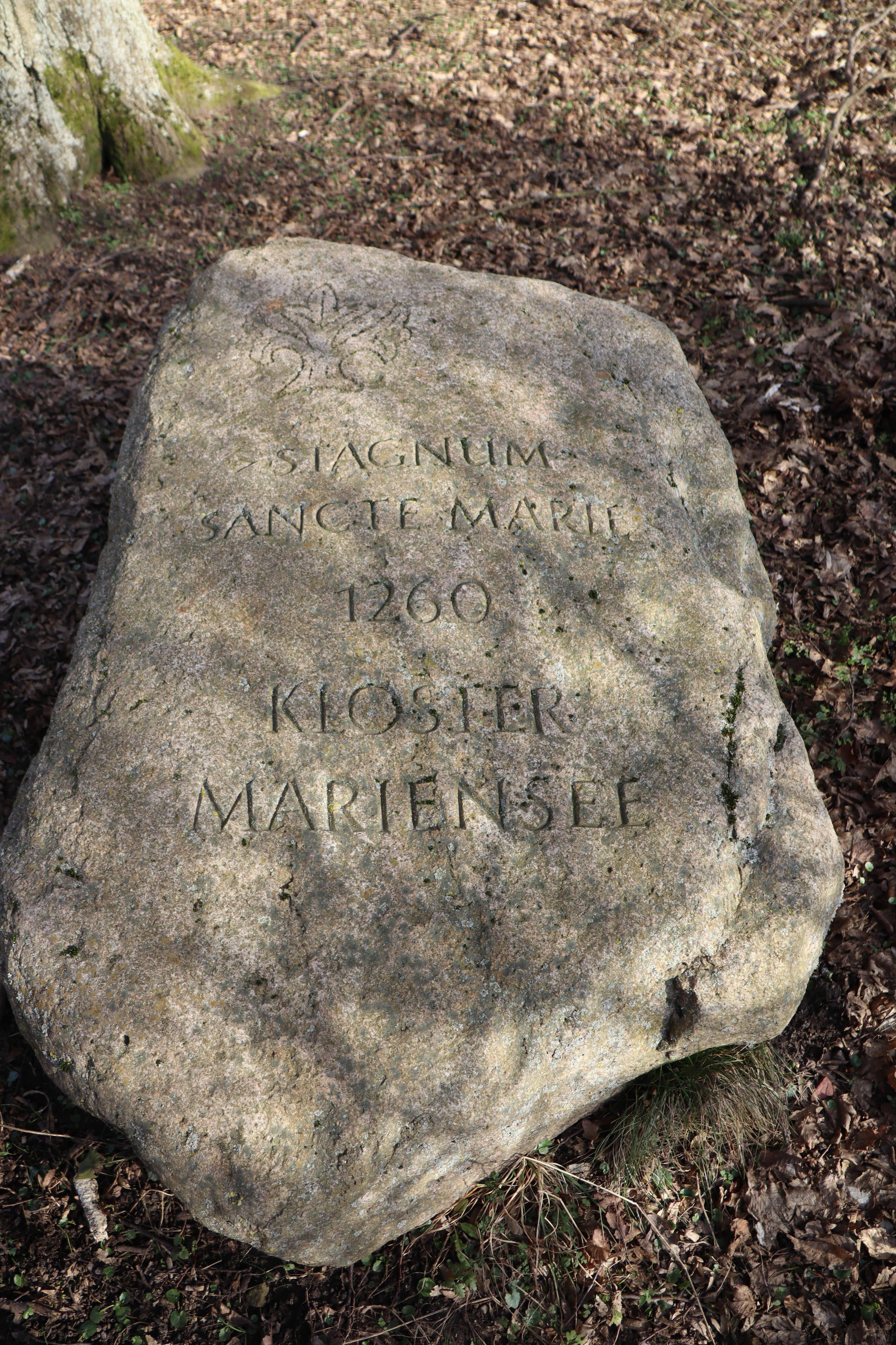 Stein Kloster Mariensee