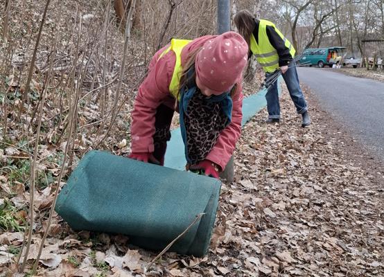 Foto: Katrin Mielsch, Lizenz: Naturwacht Hoher Fläming
