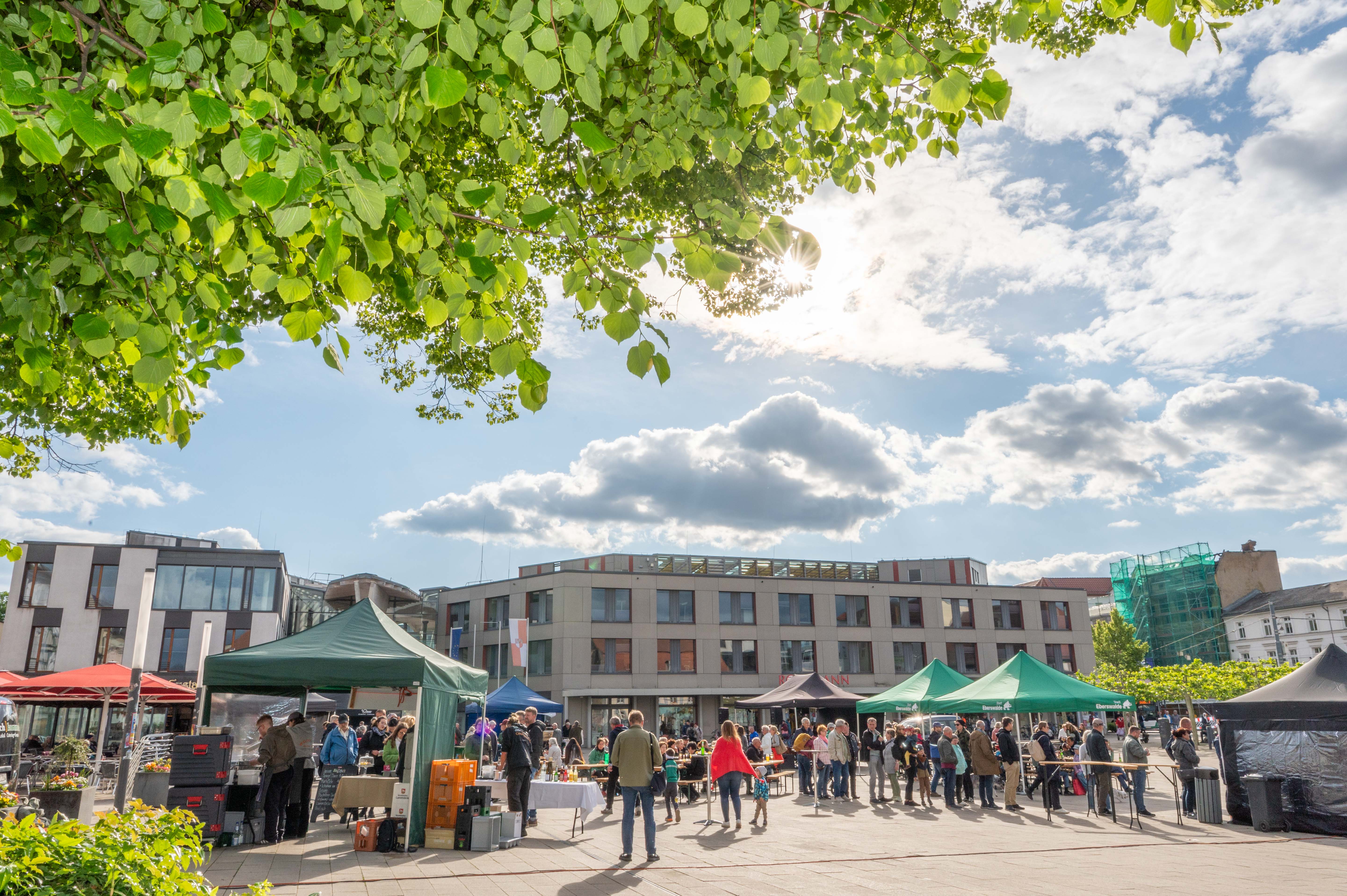 Foto: Stadt Eberswalde/Florian Heilmann , Lizenz: Stadt Eberswalde