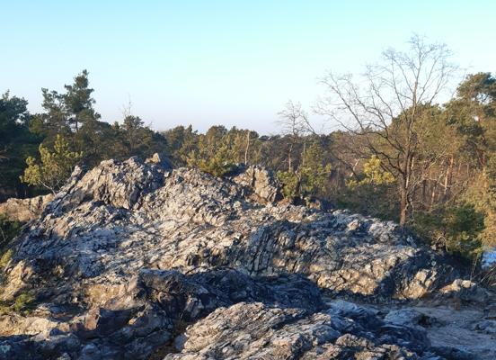 Foto: Susann Nitzsche, Lizenz: Susann Nitzsche, NW NPNLH