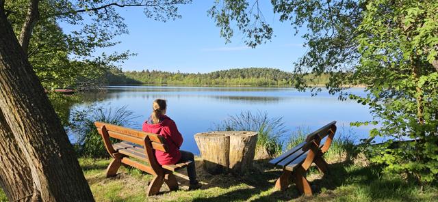 Foto: Daniela Drechsler, Lizenz: Stiftung NaturSchutzFonds Brandenburg