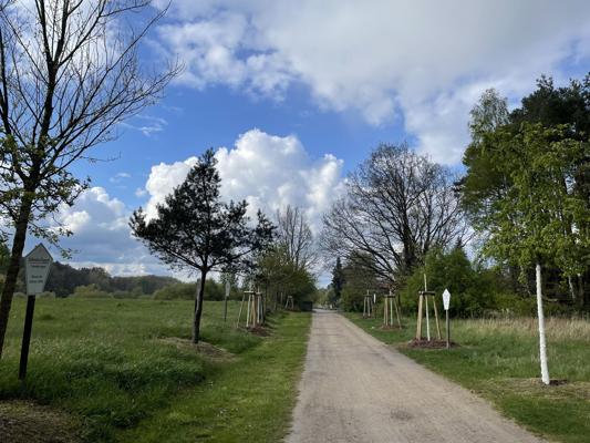 Dem Biber auf der Spur – am Biesenthaler Becken