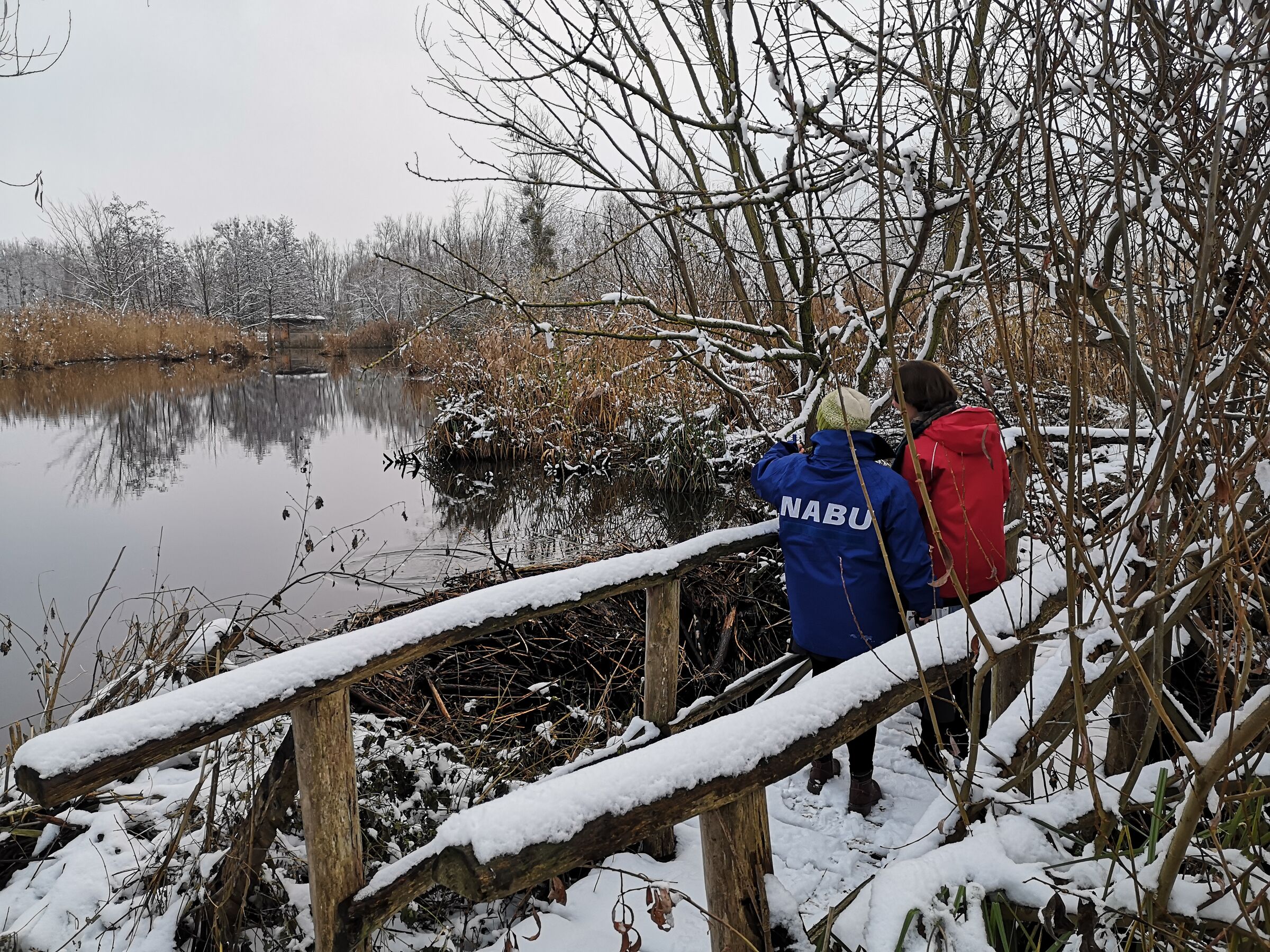Blumberger Mühle, Foto: NABU, Lizenz: NABU