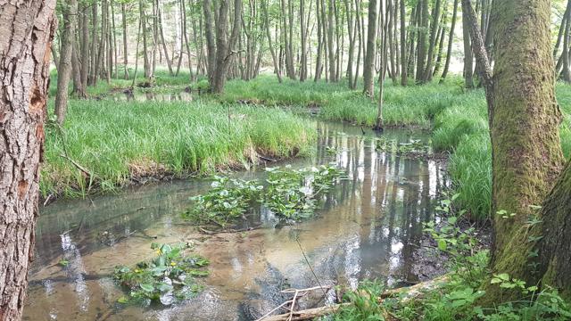 Osterrundfahrt zum Schwielowsee