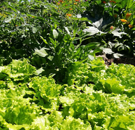 GLEIS 3 Kulturzentrum Lübbenau - Aktuelle Termine