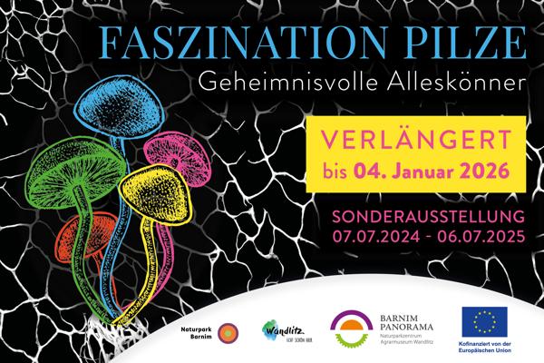 Rock me Jo  – Außenstelle –