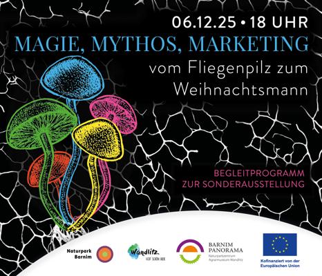 Rock me Jo  – Außenstelle –