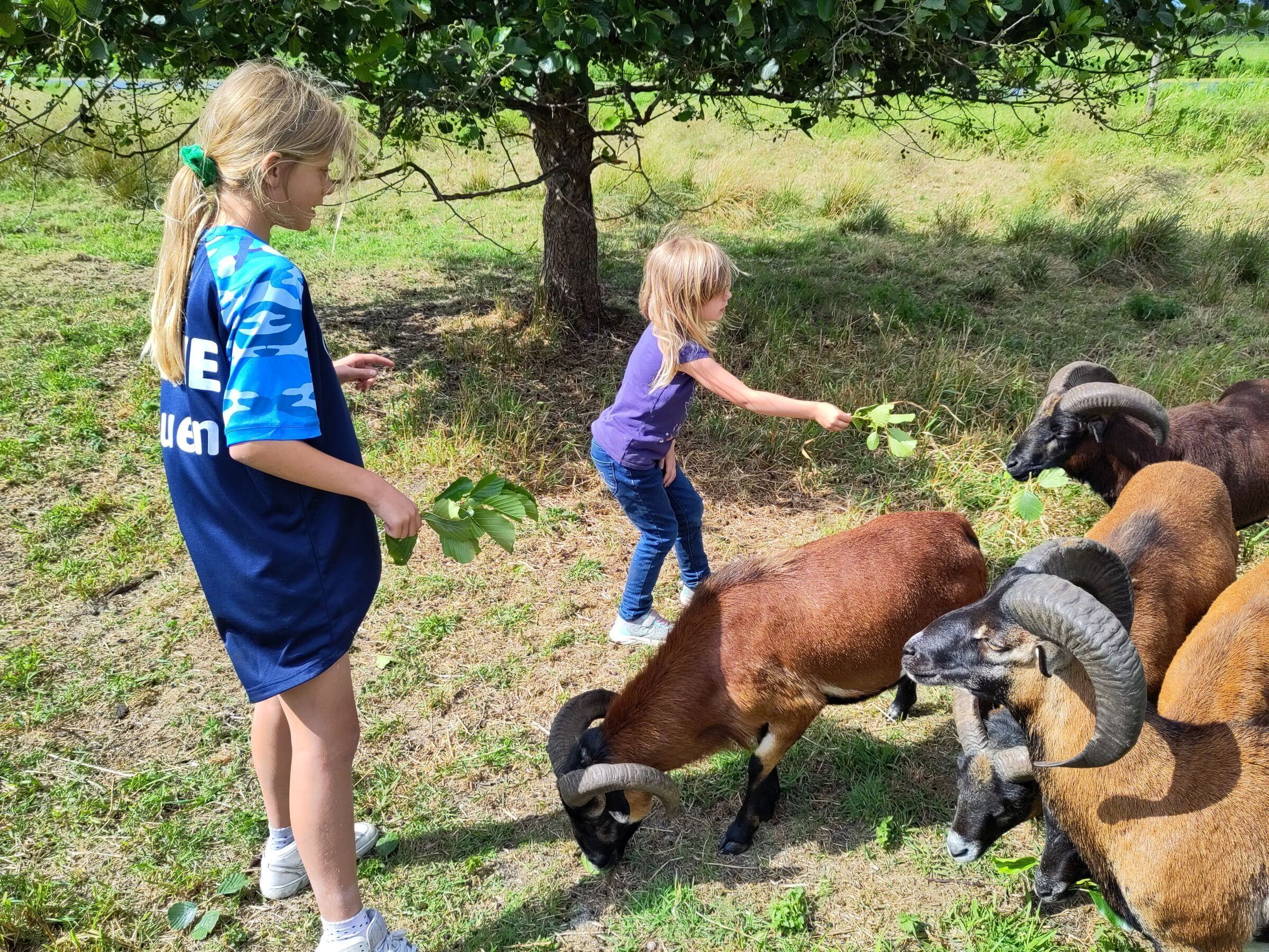 Foto: Semnonenbund e.V., Lizenz: Semnonenbund e.V.