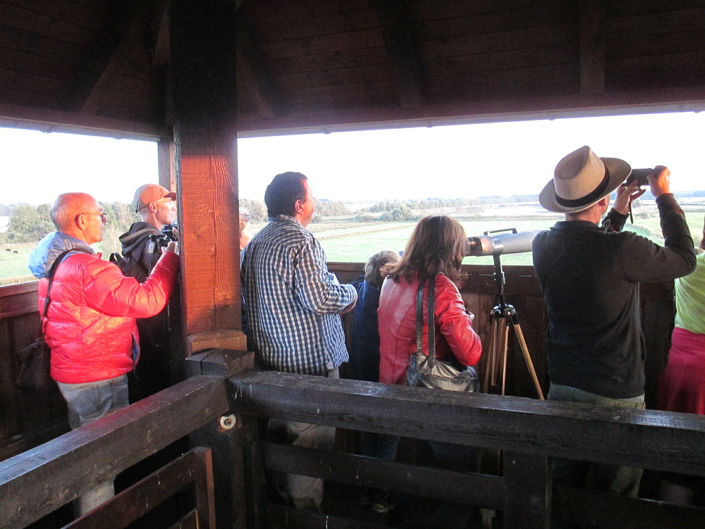 Auf dem Kranichturm, Foto: Ulf Bollack, Lizenz: Naturschutzfonds Bbg.