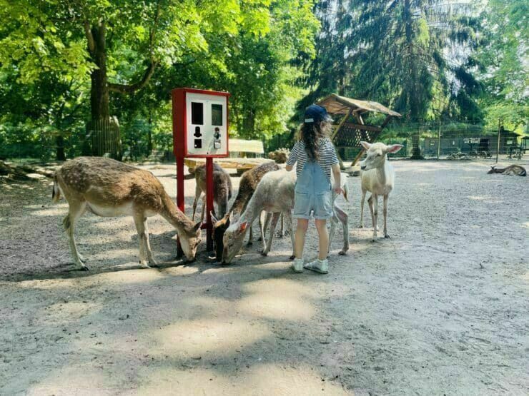 Tierpark Angermünde, Foto: M. Kienitz, Lizenz: Tourismusverein Angermünde e. V.