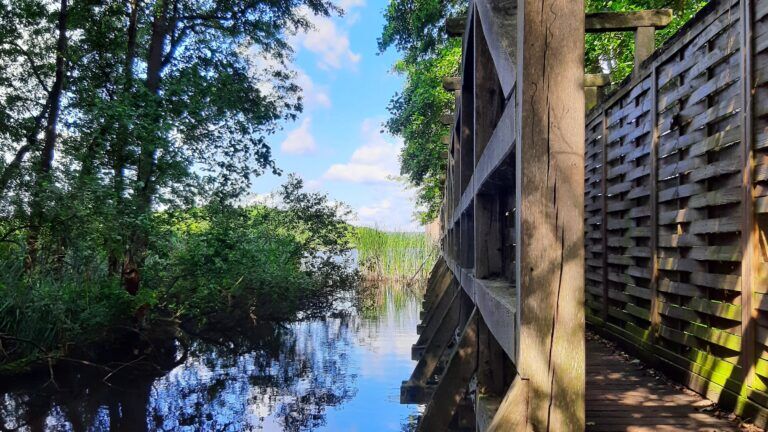 Steg am Riebener See, Foto: Maren Brodersen, Lizenz: Maren Brodersen
