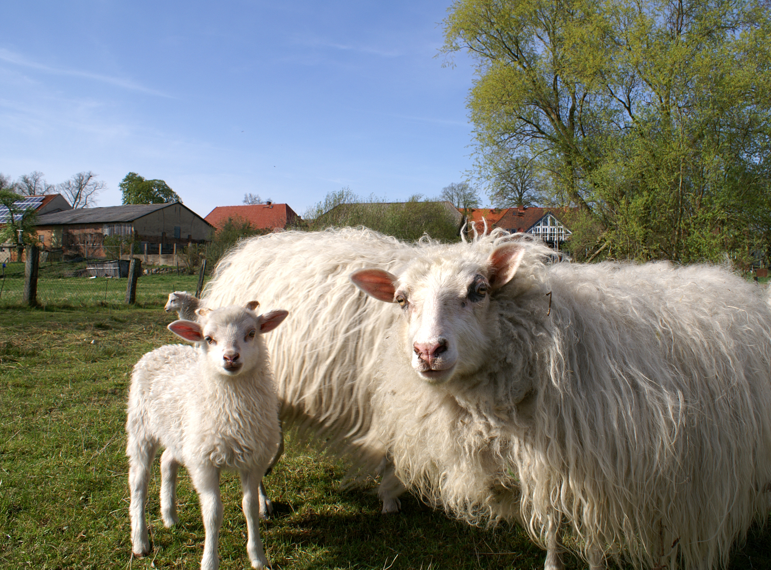Foto: CorporateArt Natur, Lizenz: TVP