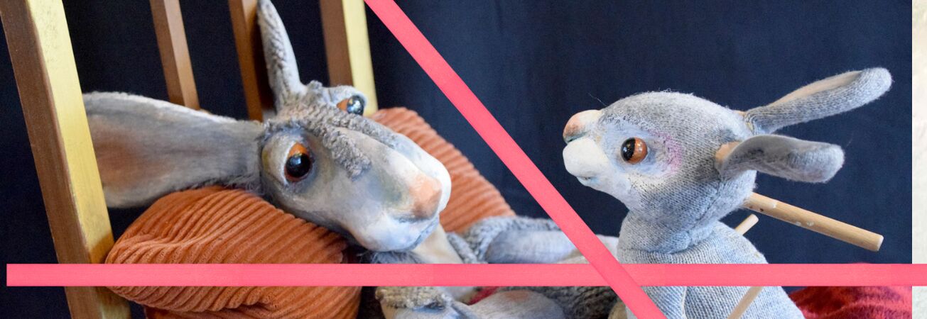 Weihnachten beim kleinen Hasen, Foto: Dr. Alexander Busche