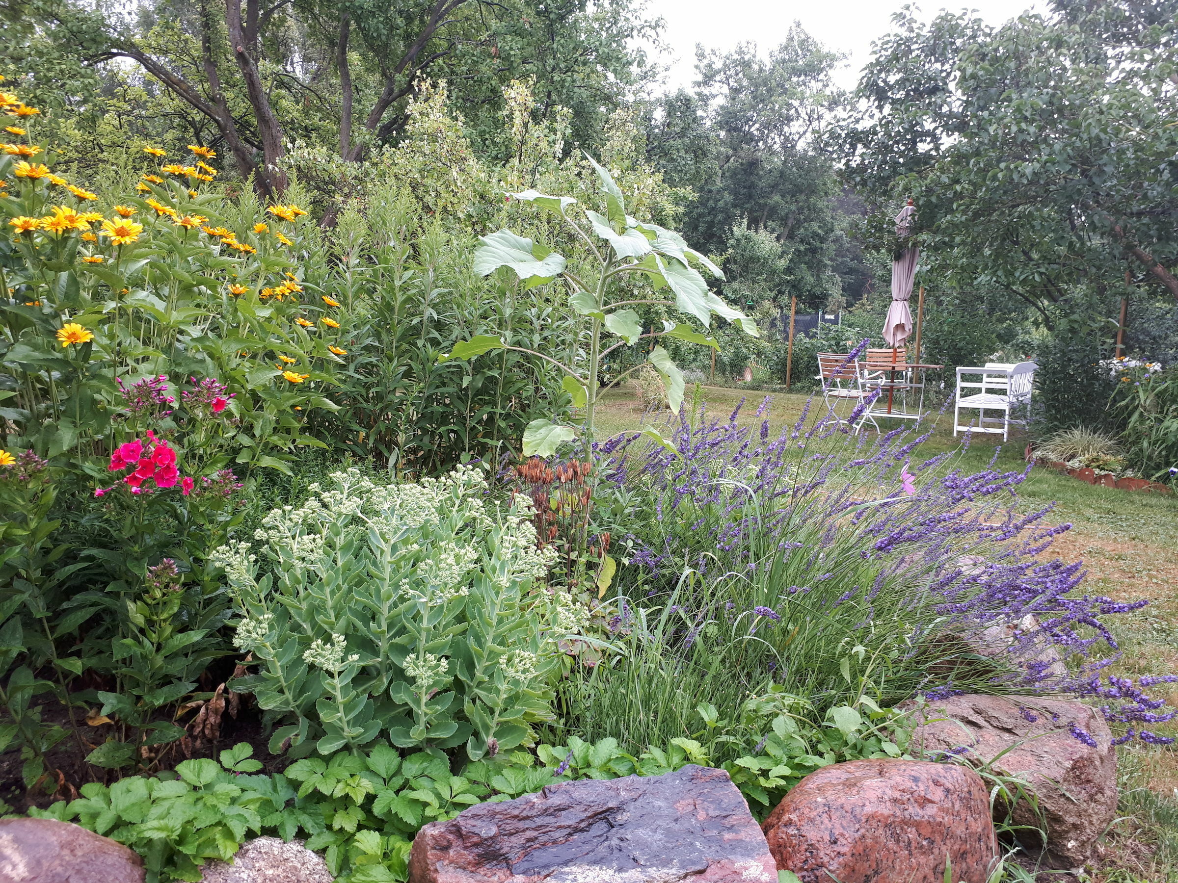 Garten Kathrin Bohm-Berg & Christian Berg, Foto: Kathrin Bohm-Berg