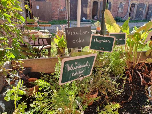 Zuckertütentag im Familiengarten Eberswalde
