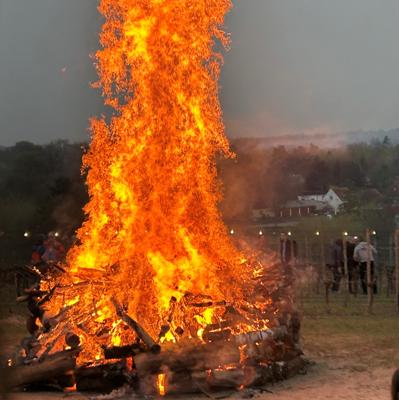 Foto: Weinbau Dr. Lindicke, Lizenz: Weinbau Dr. Lindicke