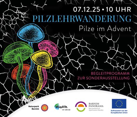 Rock me Jo  – Außenstelle –