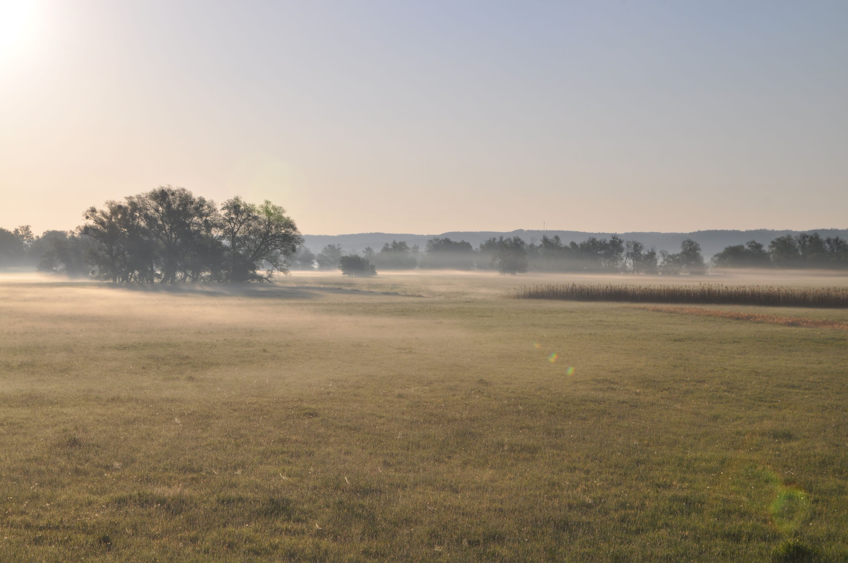 Atmosphäre in der Oderaue, Foto: M. Kreiling, Lizenz: Naturschutzfonds Brandenburg