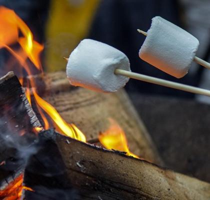 Foto: Image by Ben Kerckx from Pixabay, Lizenz: Image by Ben Kerckx from Pixabay