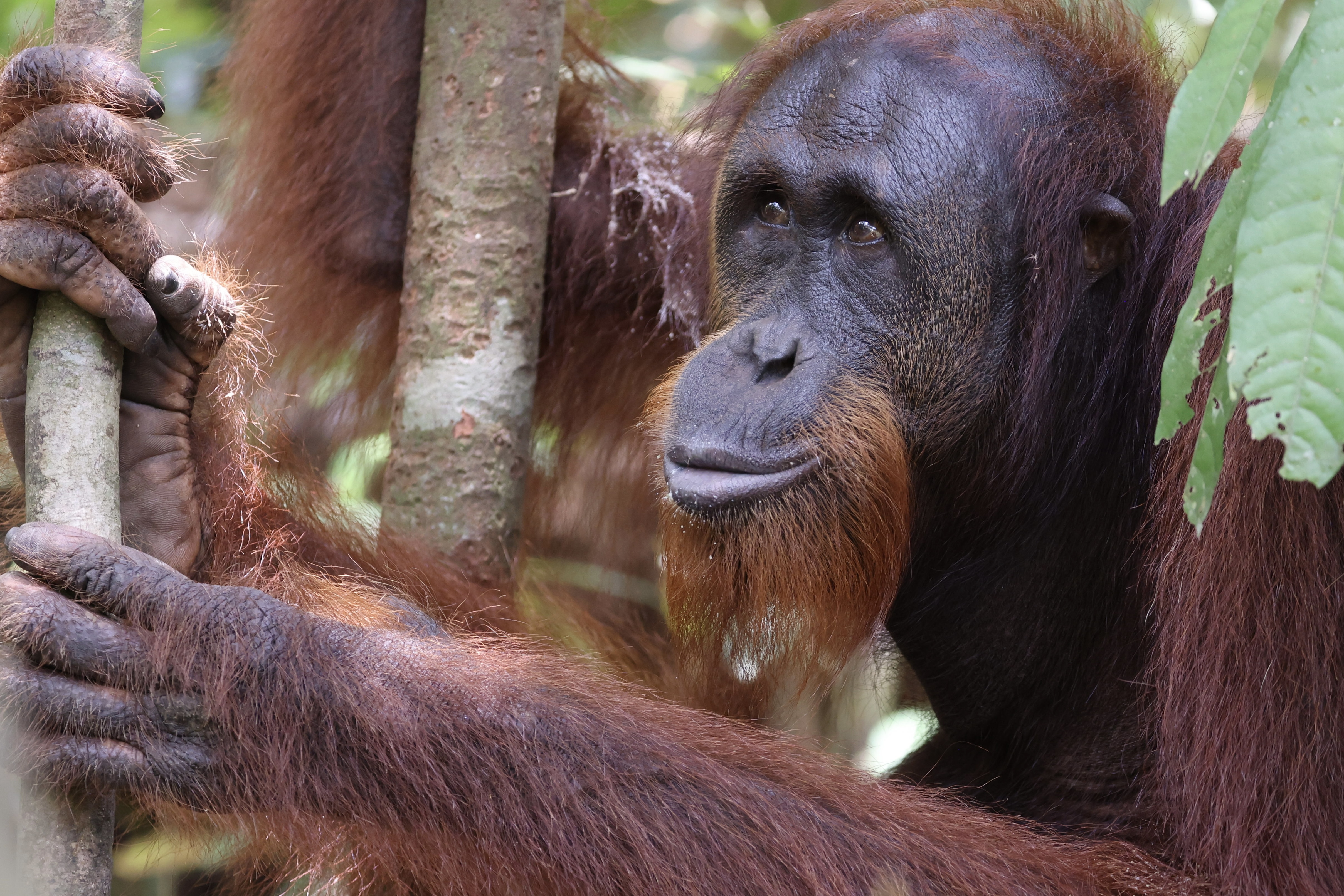 Foto: © Zorillafilm Grospitz & Westphalen