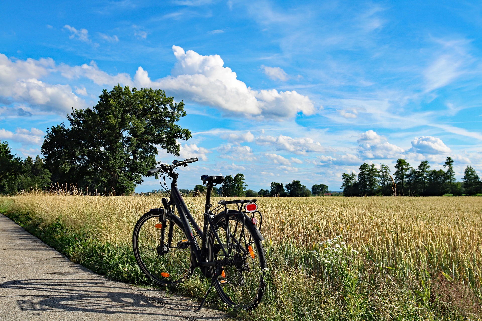 Foto: pixabay - wellow summer