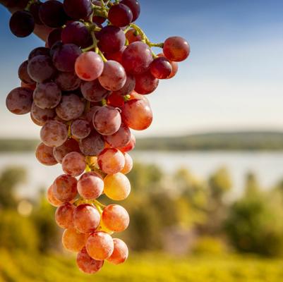 Foto: Stadt Werder (Havel), Lizenz: Stadt Werder (Havel)