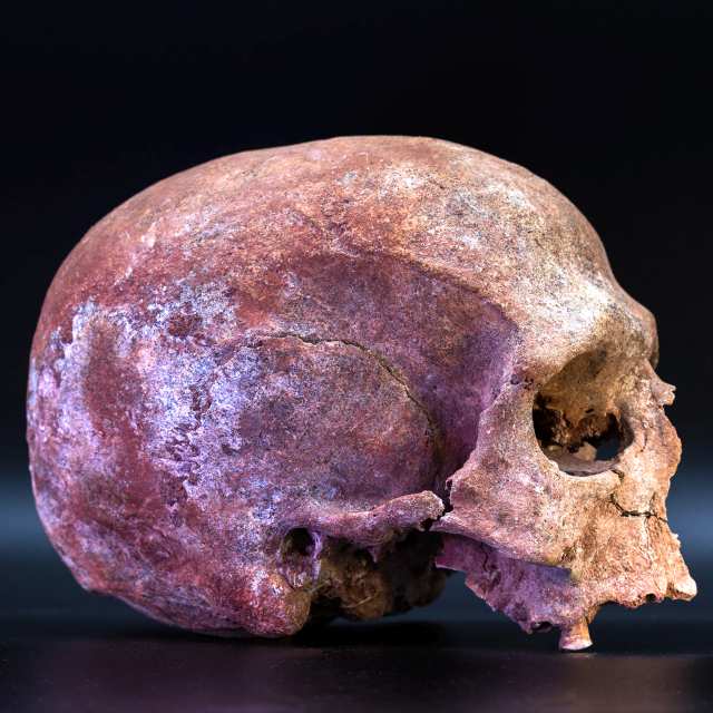 Foto: Atelier Thomas Bartel, Lizenz: BLDAM