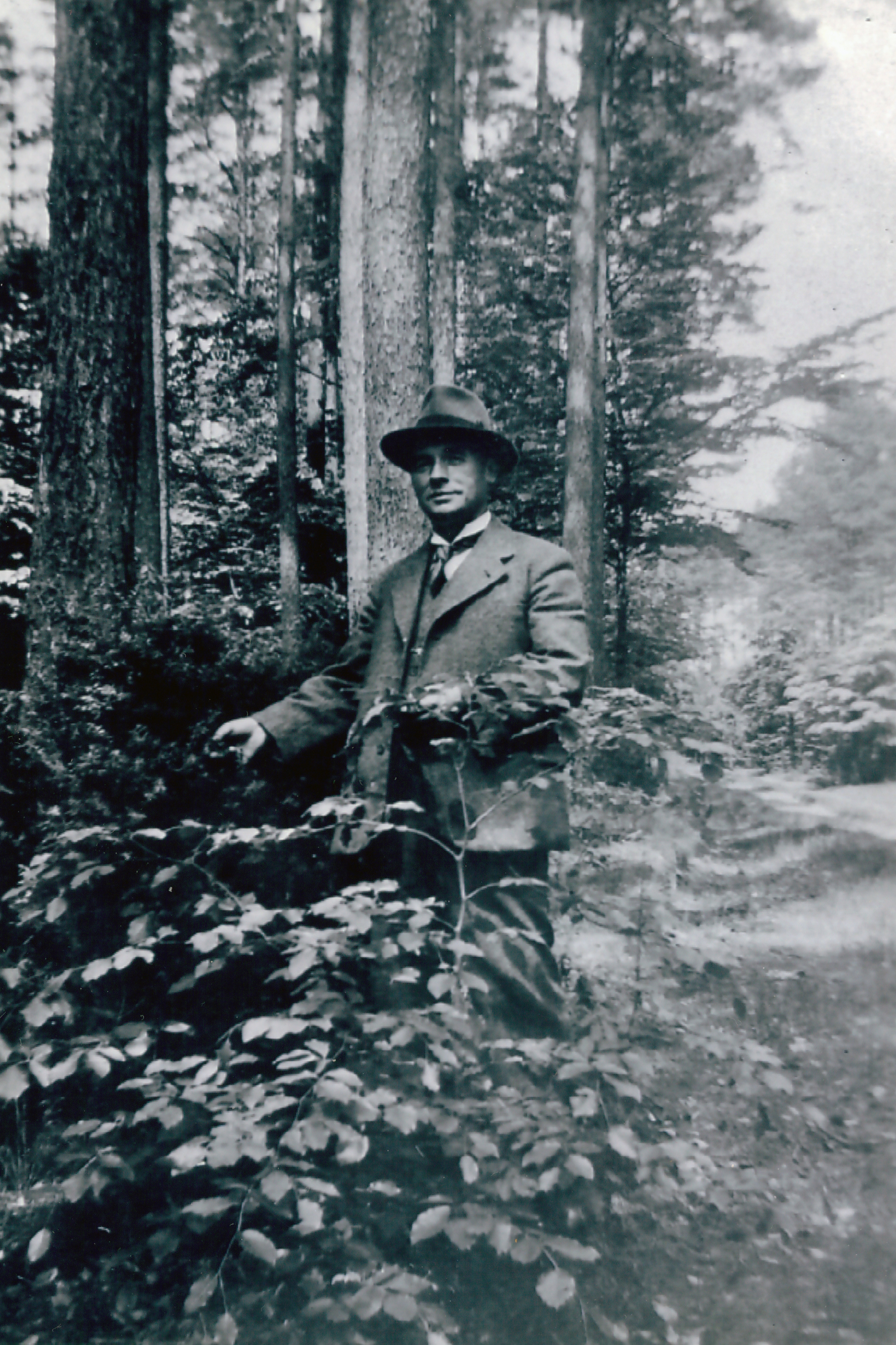 Foto: Max-Lindow-Literaturgesellschaft e.V., Lizenz: Max-Lindow-Literaturgesellschaft e.V.