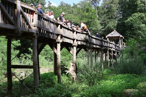 Ferien-Spaß im Zoo Eberswalde!