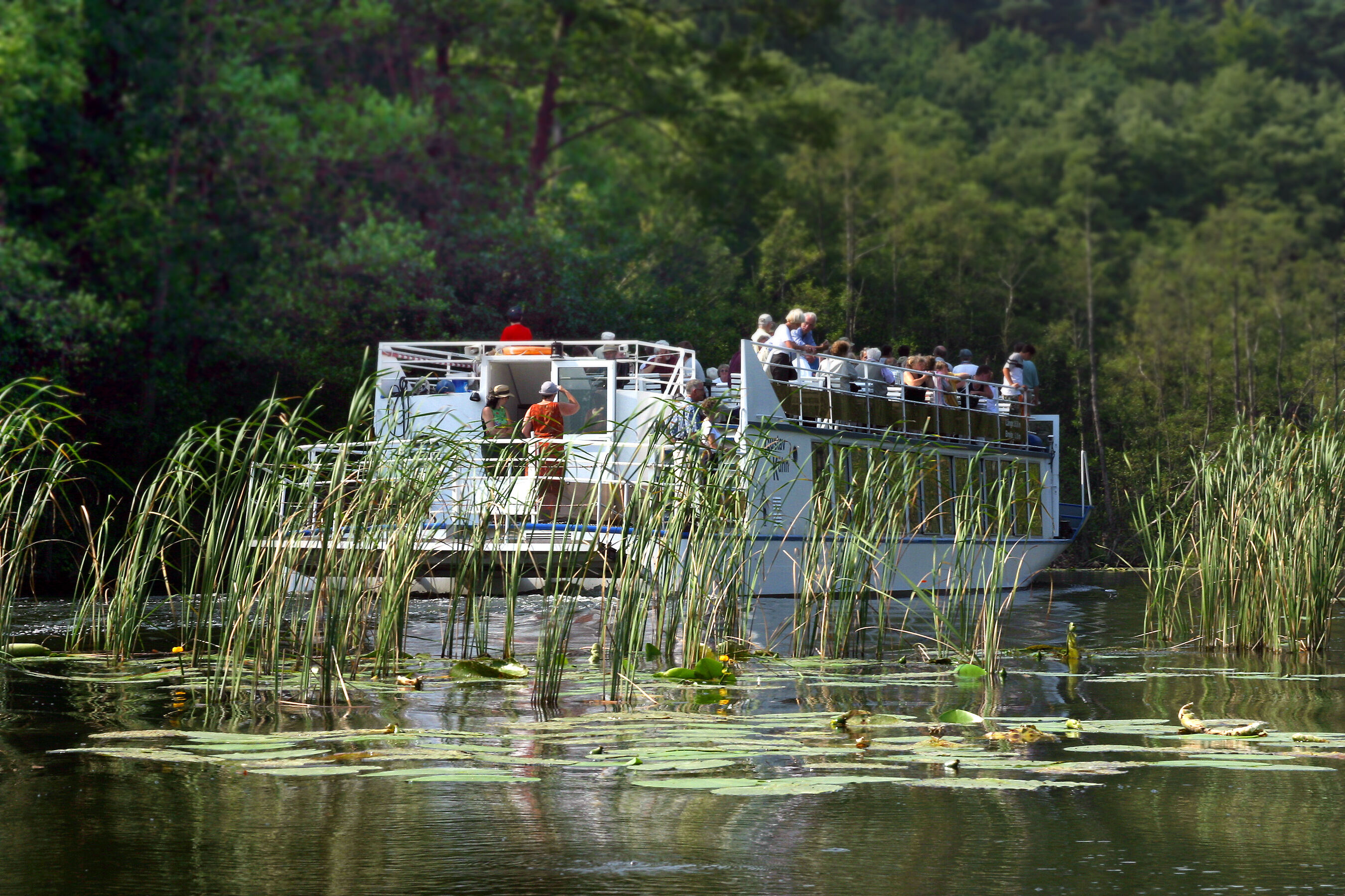 Tagesausflug , Foto: Traub, Lizenz: Tourismus-Service BürgerBahnhof GmbH