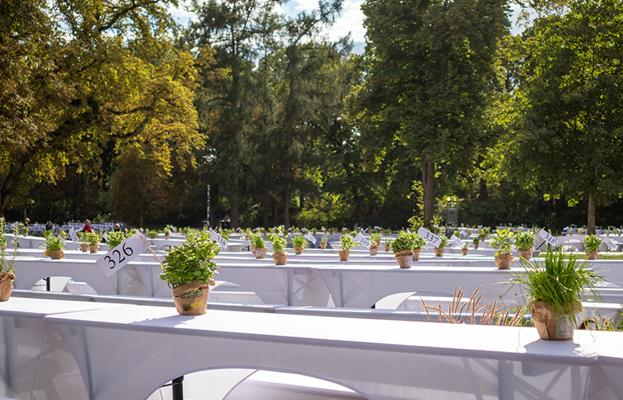 Dinner-Picknick im Bernauer Stadtpark