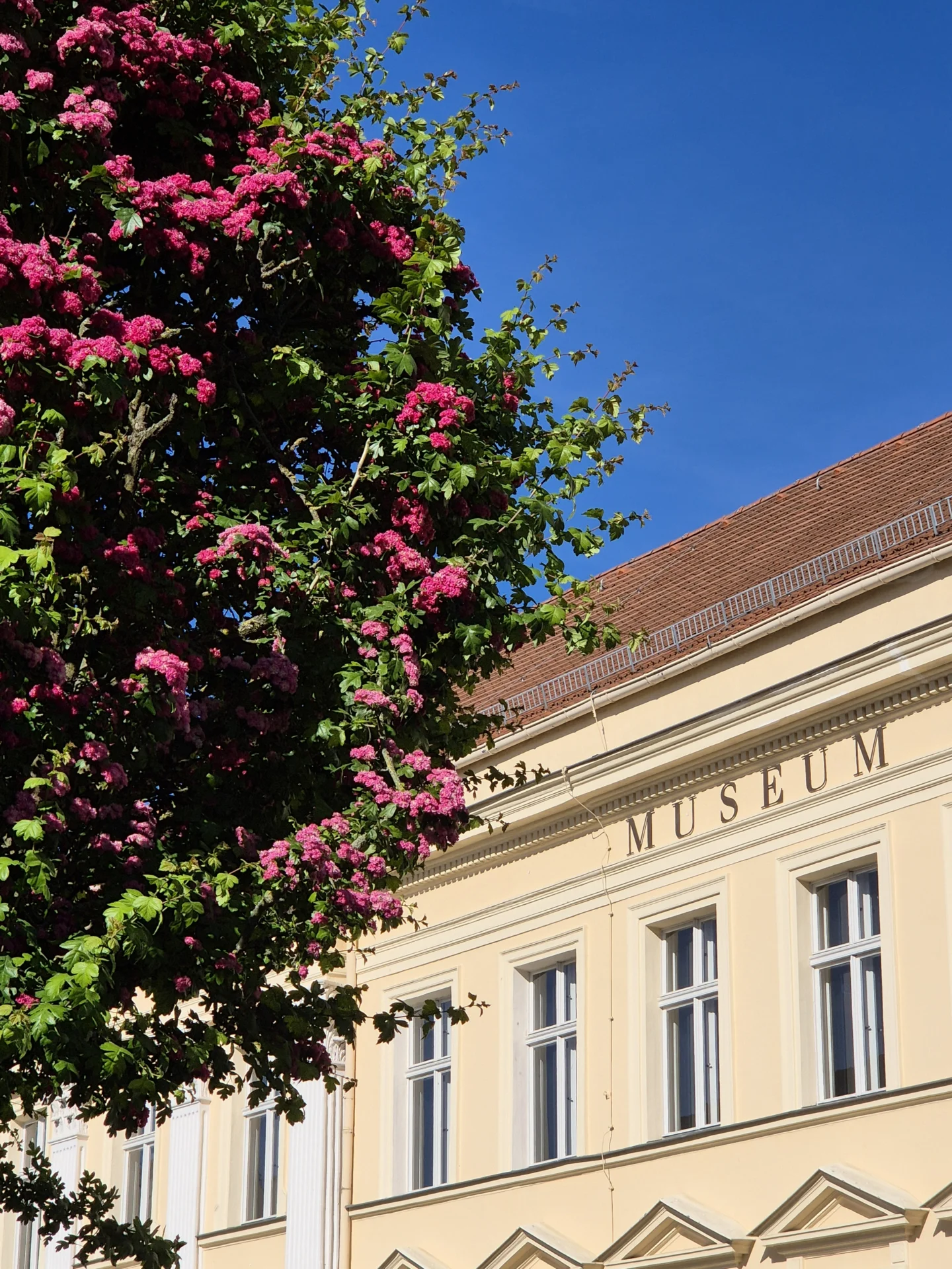 Foto: Museum Neuruppin, Lizenz: Museum Neuruppin